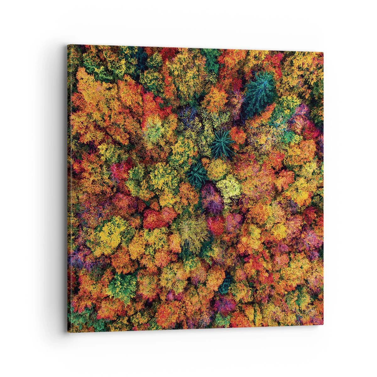Bild auf Leinwand - Leinwandbild - Blumenstrauß aus Herbstbäumen - 70x70 cm