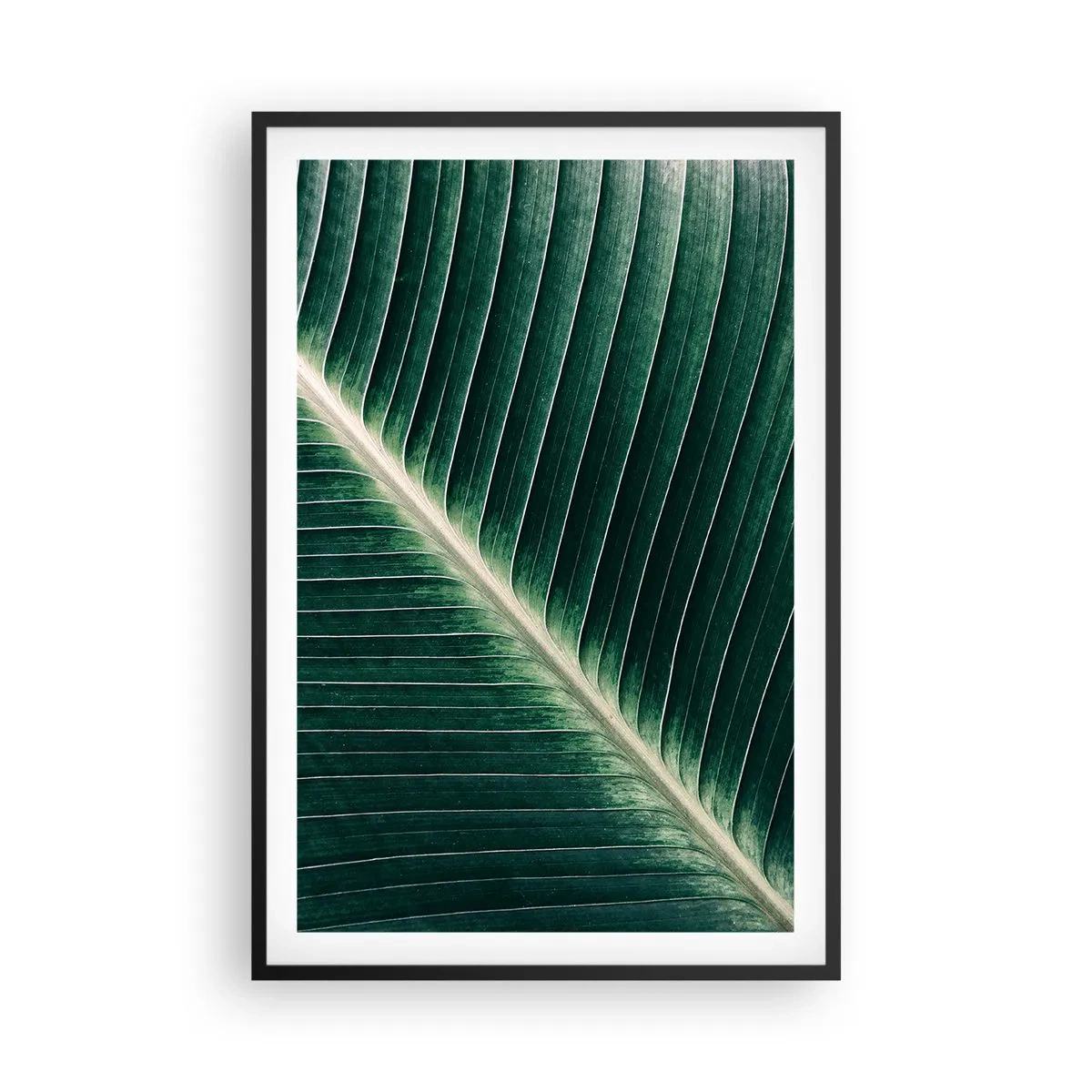 Poster in einem schwarzem Rahmen - Rhythmus der Natur - 61x91 cm
