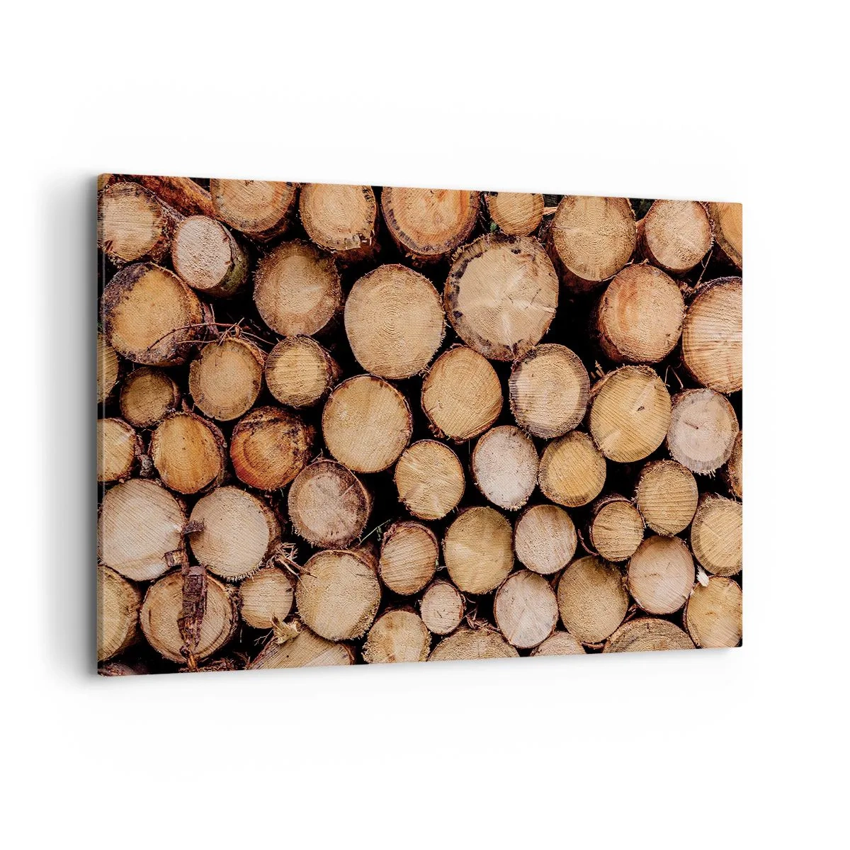 Bild auf Leinwand - Leinwandbild - Stapel gefällter Baumstämme in harmonischer Anordnung - 120x80cm - Ein neuer Anfang - Moderne Wanddekoration für Wohnzimmer und Schlafzimmer ARTTOR