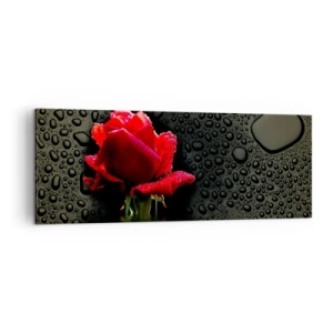 Bild auf Leinwand - Leinwandbild - Rote Rose mit Wassertropfen auf dunklem Hintergrund - 140x50cm - rot und Schwarz - Moderne Wanddekoration für Wohnzimmer und Schlafzimmer ARTTOR