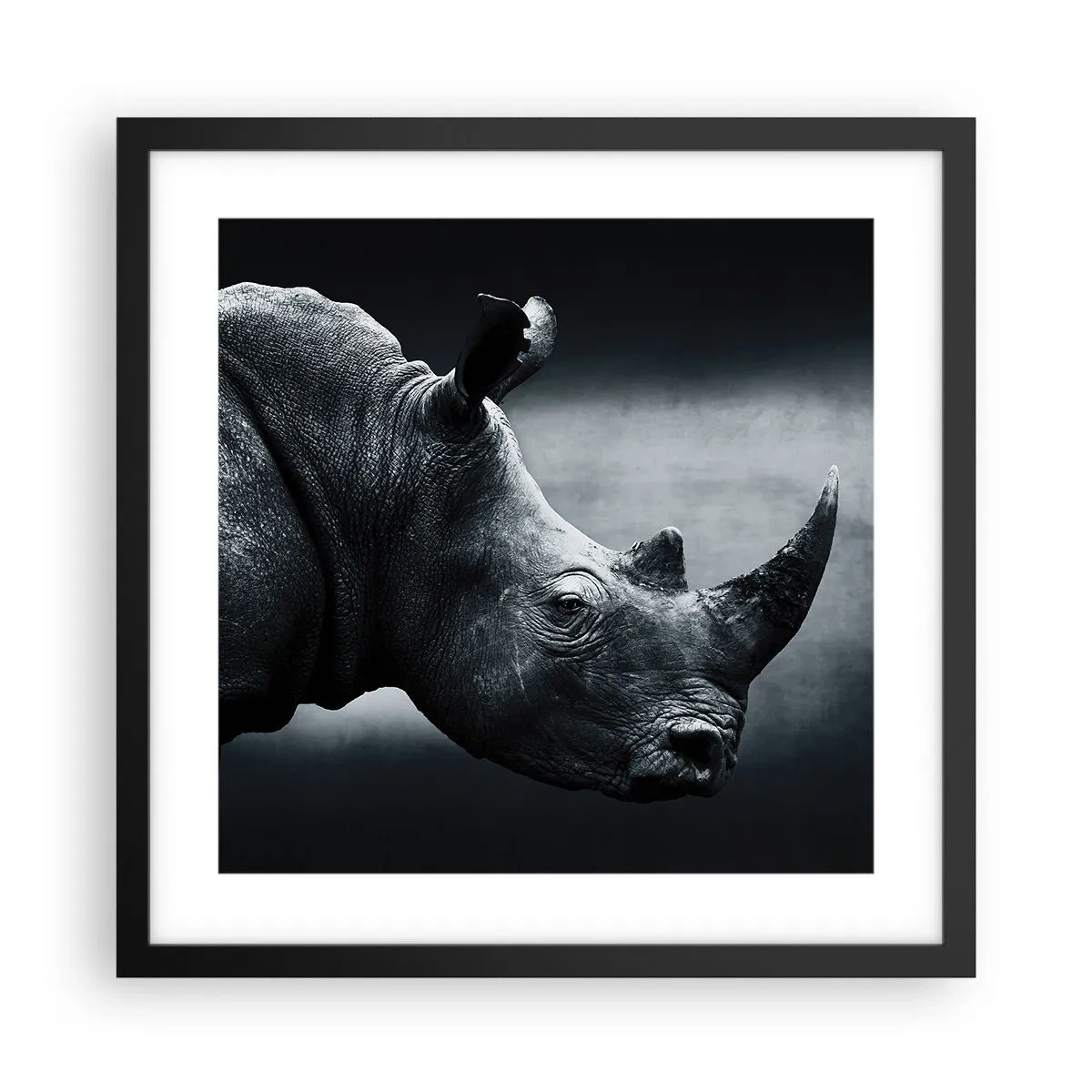 Poster in einem schwarzem Rahmen - Richtiges Profil - 40x40 cm