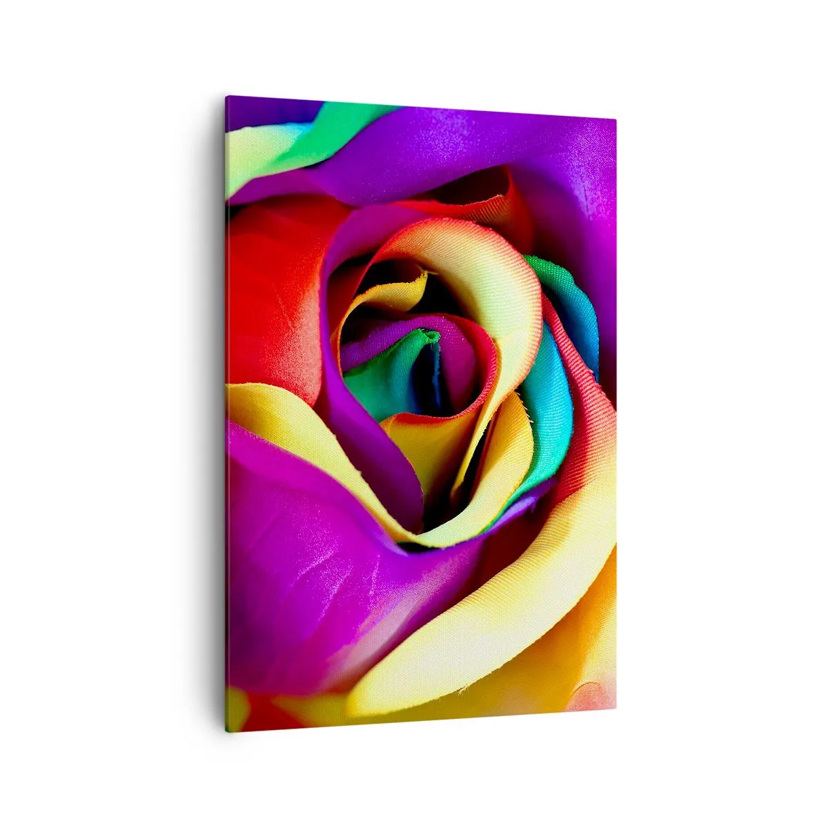 Bild auf Leinwand - Leinwandbild - Eine bunte Rose in Regenbogenfarben - 70x100cm - Es ist unmöglich - Moderne Wanddekoration für Wohnzimmer und Schlafzimmer ARTTOR