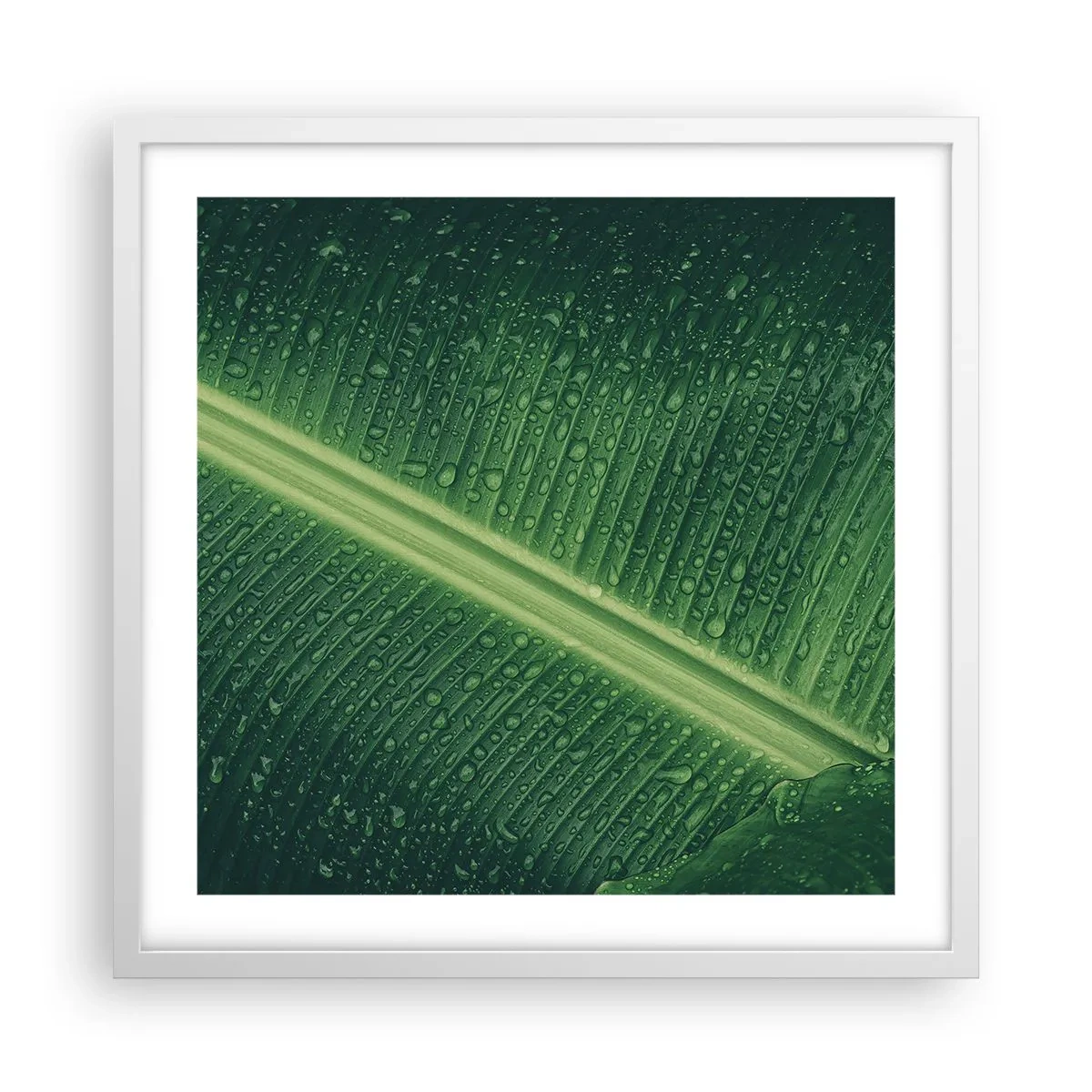 Poster in einem weißen Rahmen - Die Struktur des Grüns - 50x50 cm