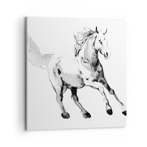 Bild auf Leinwand - Leinwandbild - Ungezähmte Seele - 60x60 cm