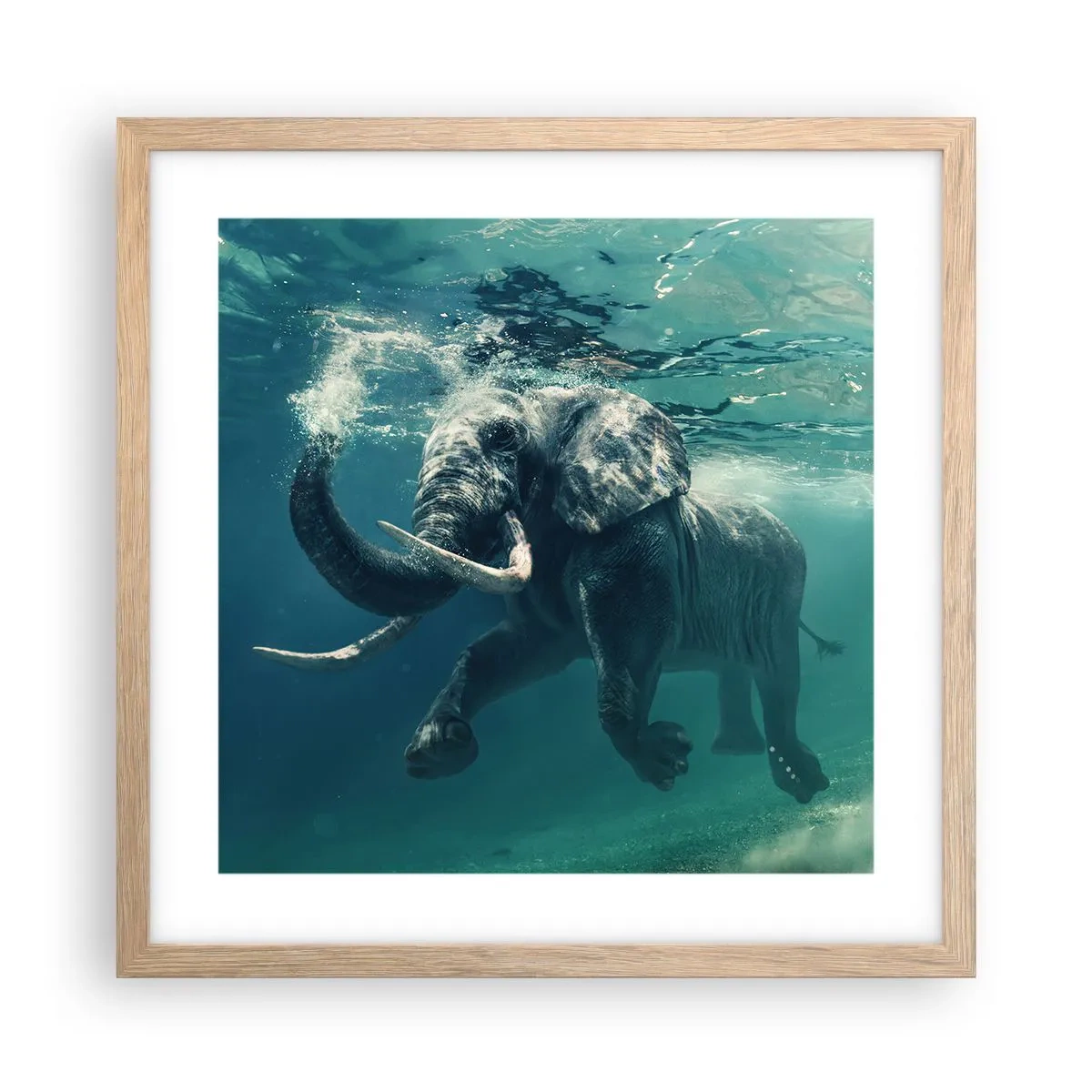 Poster in einem Rahmen aus heller Eiche - Jeder schwimmt gerne - 40x40 cm