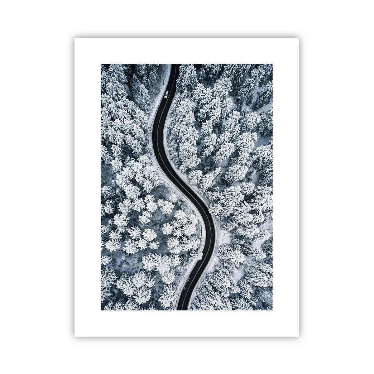 Poster - Durch den Winterwald - 30x40 cm