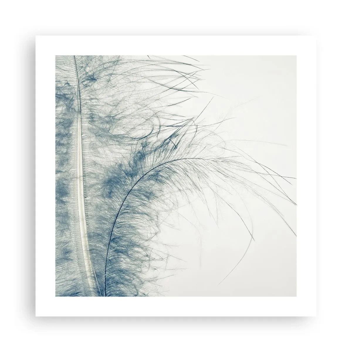 Poster - Flüstern der Natur - 50x50 cm
