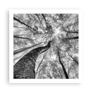 Poster - Rennen zum Licht - 60x60 cm