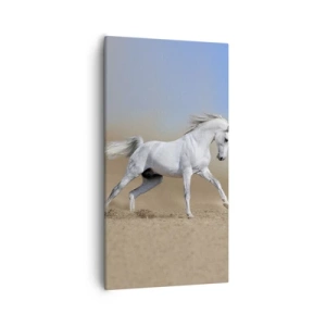 Bild auf Leinwand - Leinwandbild - Die schönste arabische Sage - 55x100 cm