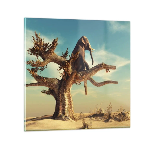 Glasbild - Bild auf glas - Ein neuer Standpunkt - 50x50 cm