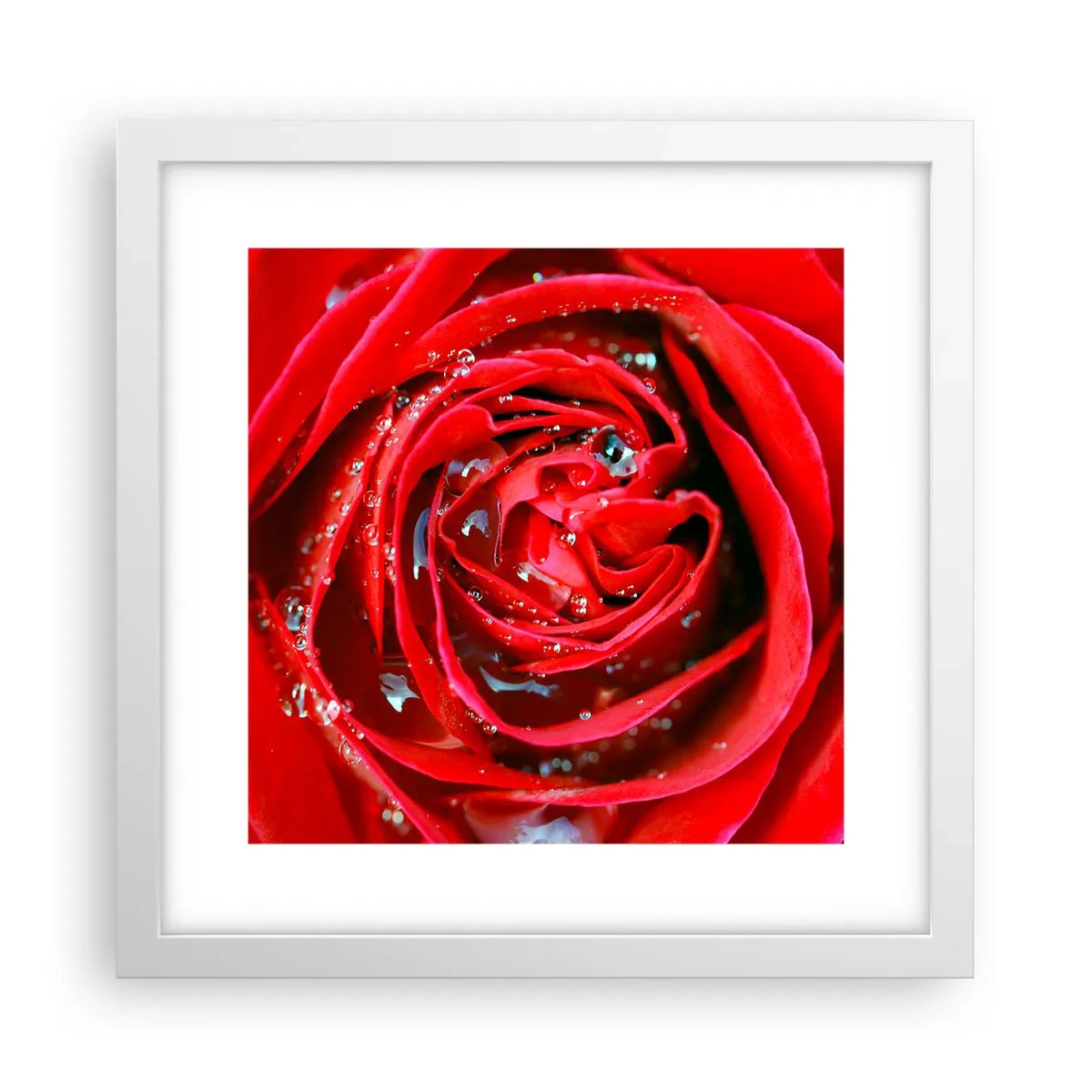 Poster in einem weißen Rahmen - In den Tautropfen - 30x30 cm