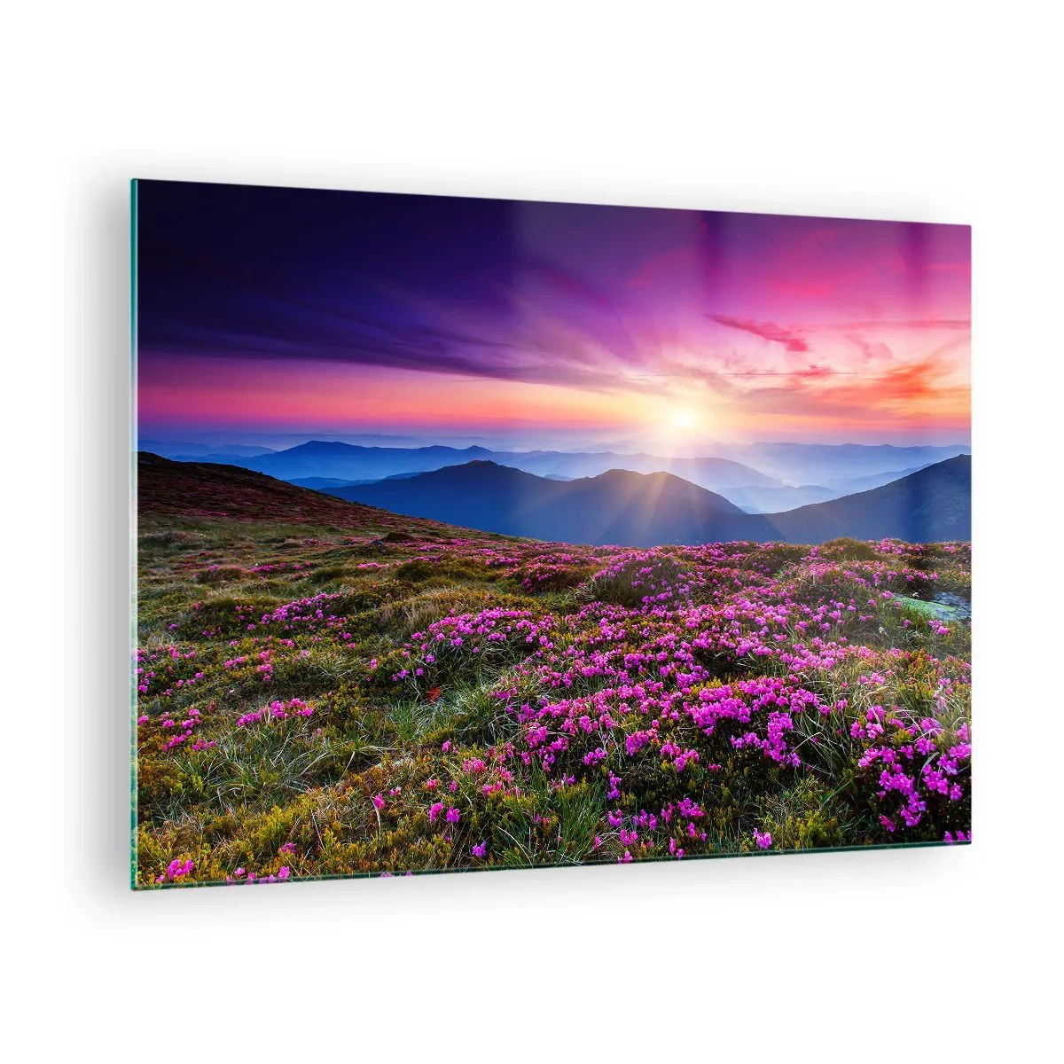 Glasbild - Bild auf glas - Berglandschaft mit Heide bei Sonnenuntergang - 70x50cm - Kräuter dufteten nach frischen Trauben von den Feldern - Moderne Wanddekoration für Wohnzimmer und Schlafzimmer ARTTOR