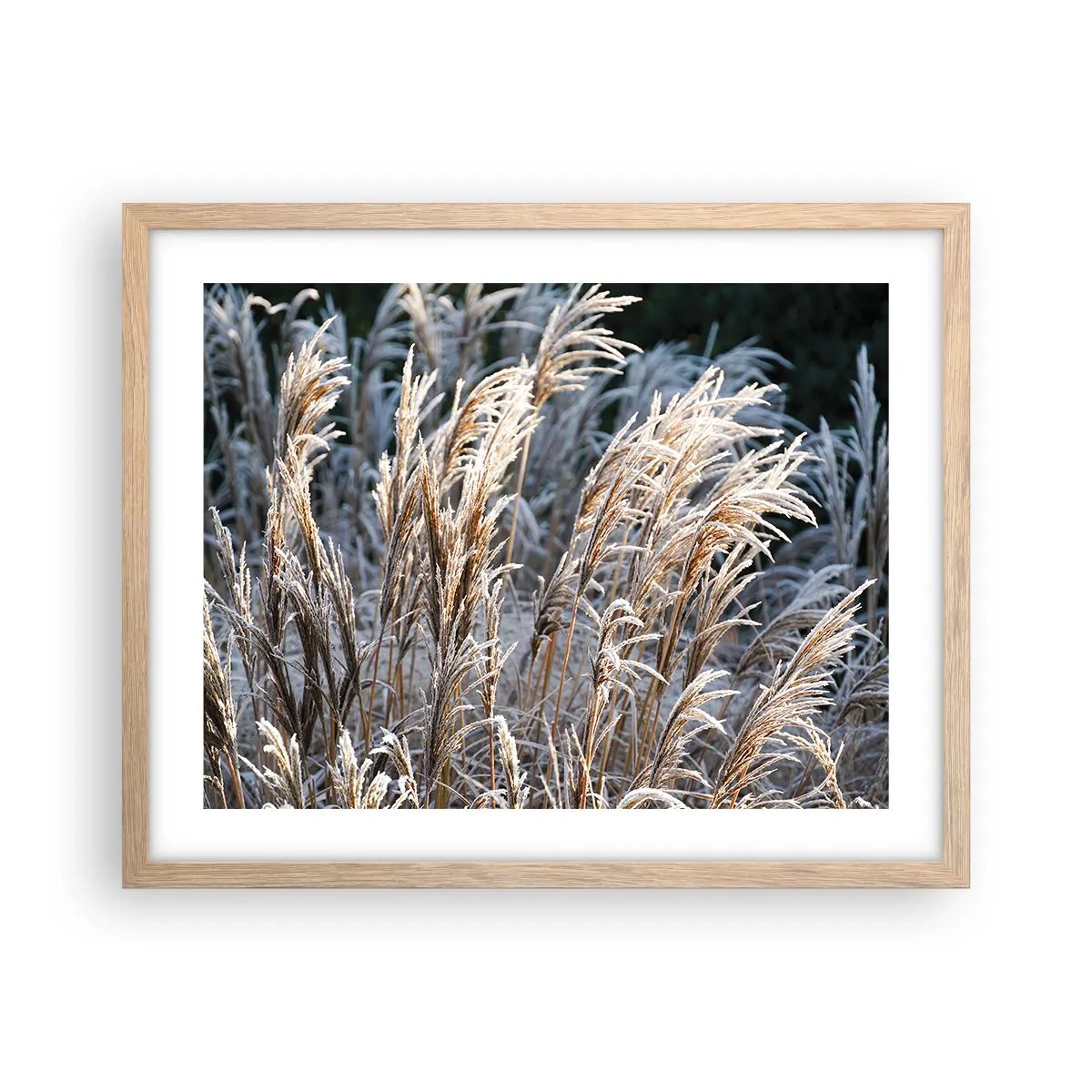 Poster in einem Rahmen aus heller Eiche - Gekleidet mit Frost - 50x40 cm