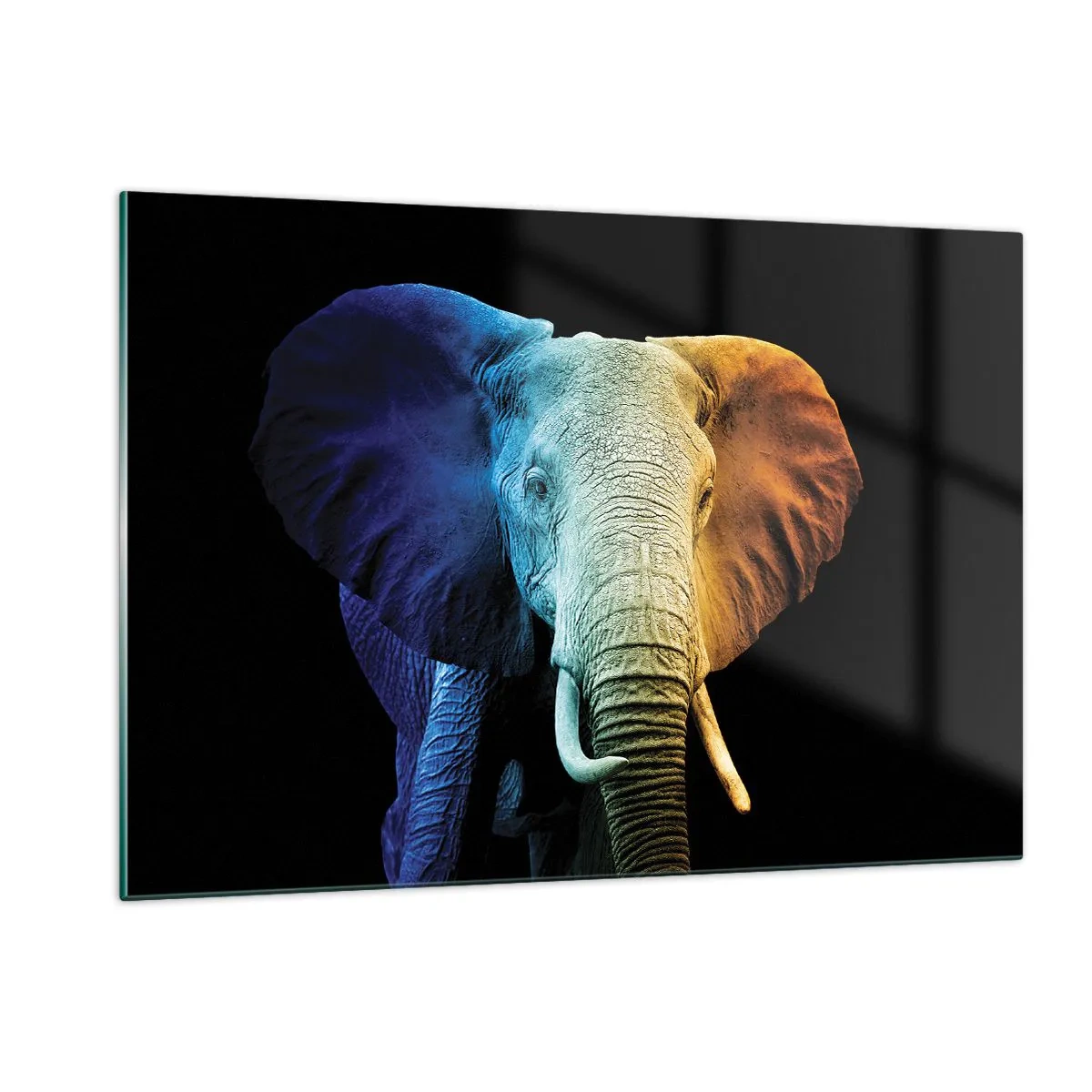Glasbild - Bild auf glas - Buntes Porträt eines Elefanten auf schwarzem Hintergrund - 120x80cm - Exzentrisch, kein Verrückter - Moderne Wanddekoration für Wohnzimmer und Schlafzimmer ARTTOR