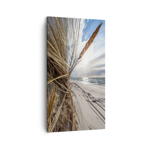 Bild auf Leinwand - Leinwandbild - Ein Treffen der Elemente der Natur - 45x80 cm