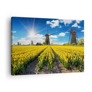 Bild auf Leinwand - Leinwandbild - Ein Feld mit gelben Tulpen mit Windmühlen am Horizont - 70x50cm - Holländischer geht's nicht - Moderne Wanddekoration für Wohnzimmer und Schlafzimmer ARTTOR
