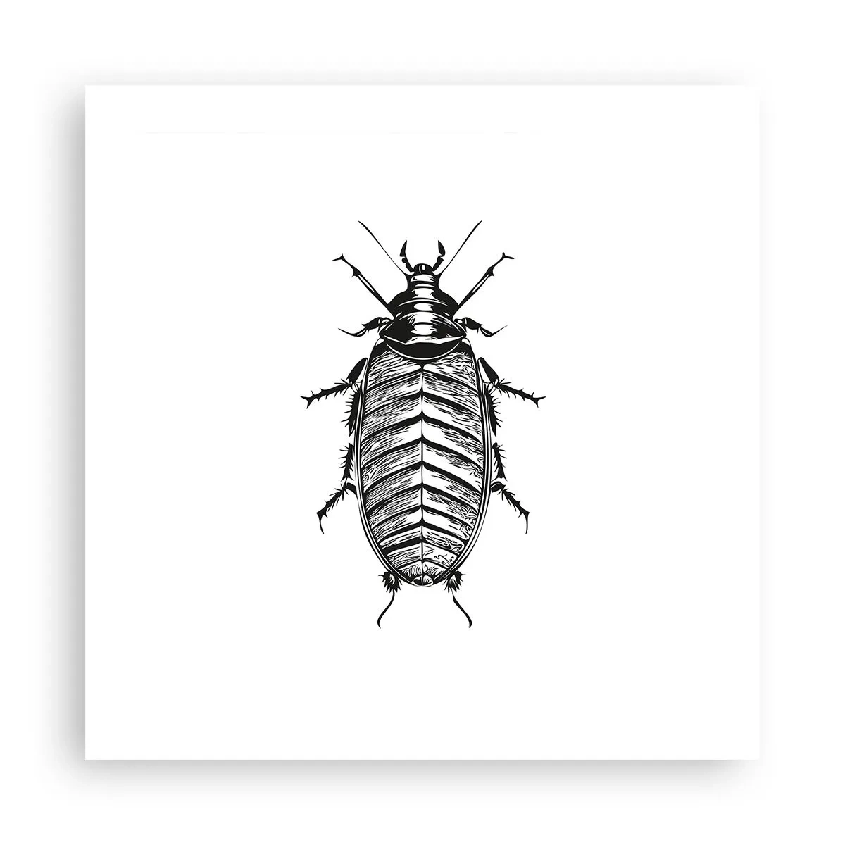 Poster - Was für ein Exemplar! - 50x50 cm