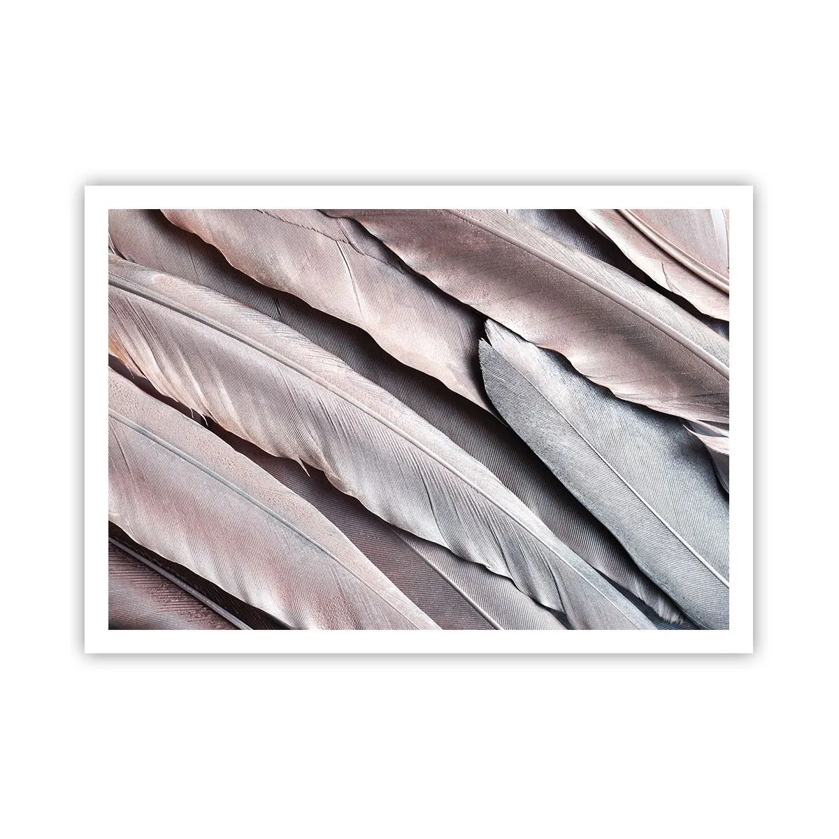 Poster - Zarte Federn in dezenten Grau- und Beigetönen - 100x70cm - In rosa Silber - Moderne Wanddekoration für Wohnzimmer und Schlafzimmer ARTTOR