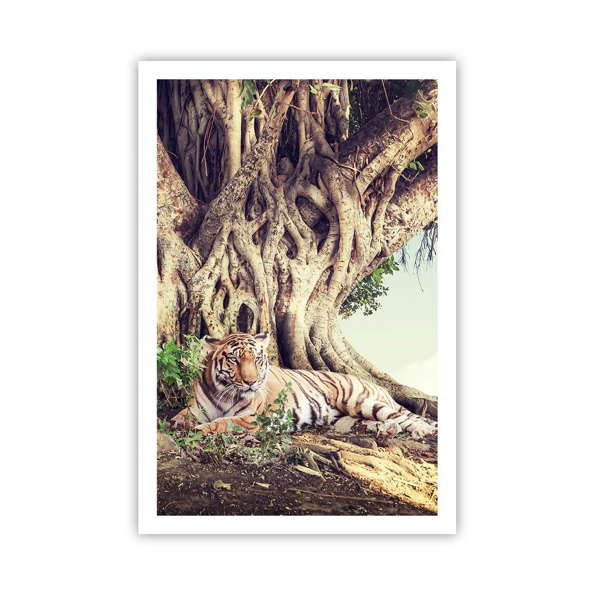 Poster - Blick aus dem Buch Genesis - 61x91 cm