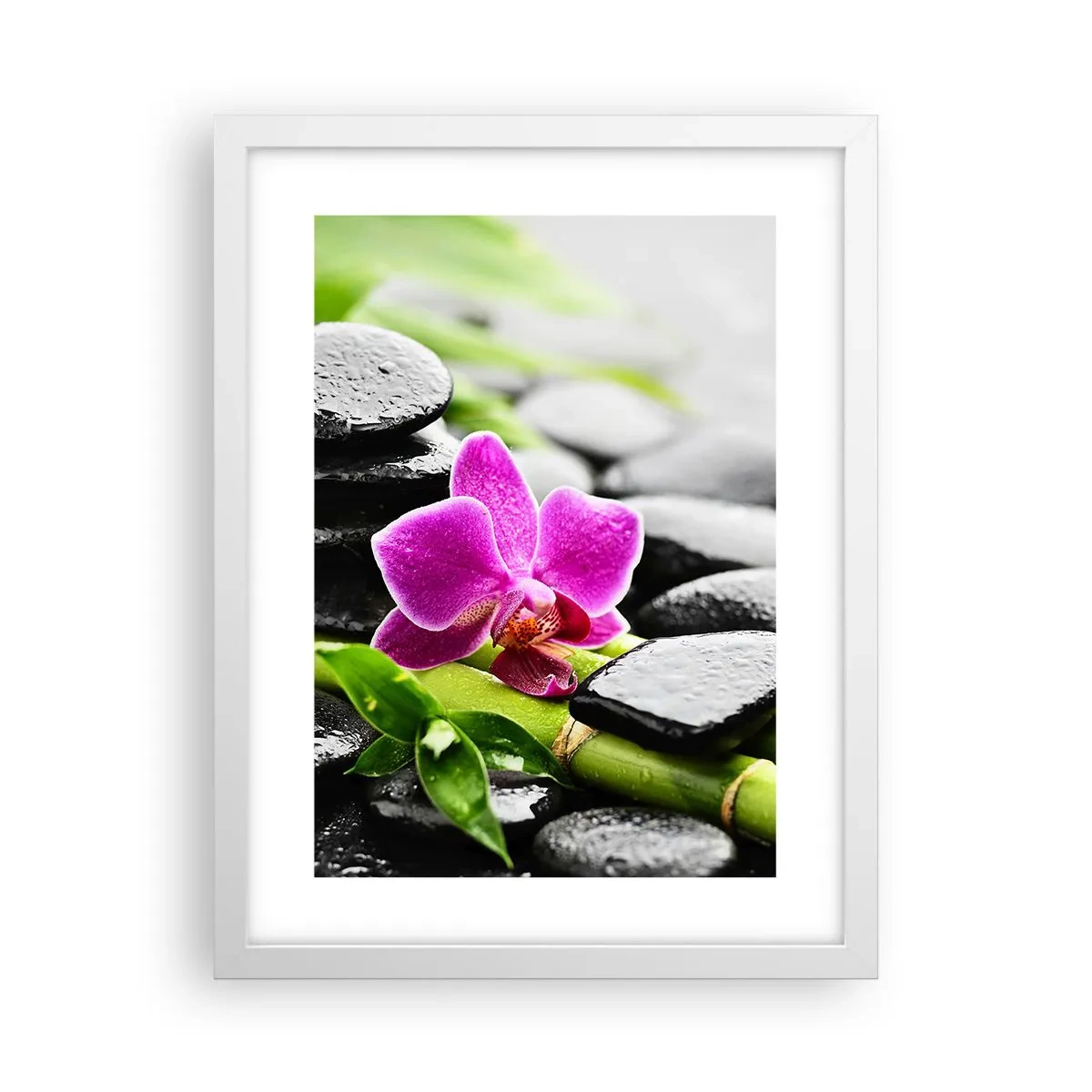 Poster in einem weißen Rahmen - In ruhiger Balance - 30x40 cm