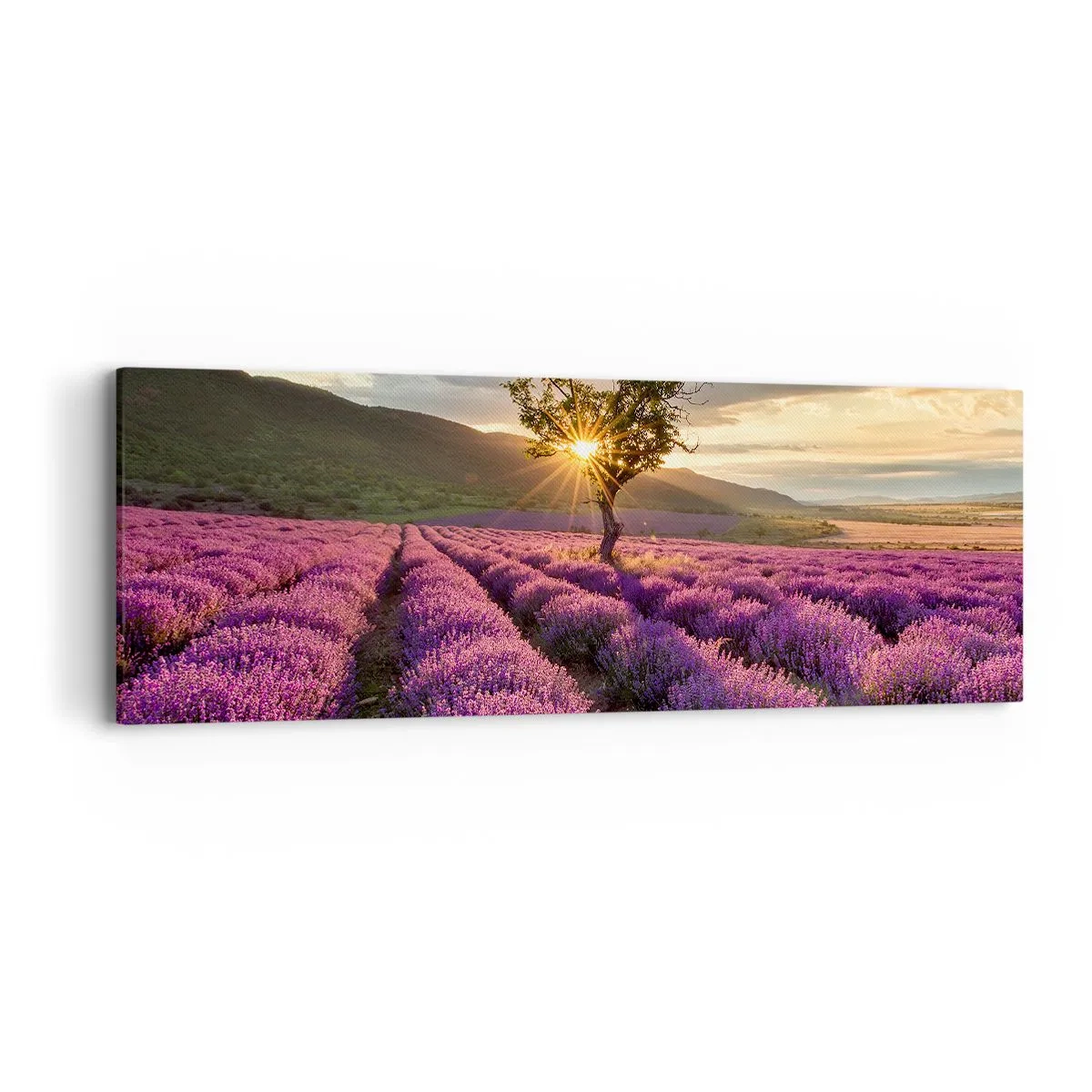 Bild auf Leinwand - Leinwandbild - Fliederfarbenes Aroma - 90x30 cm