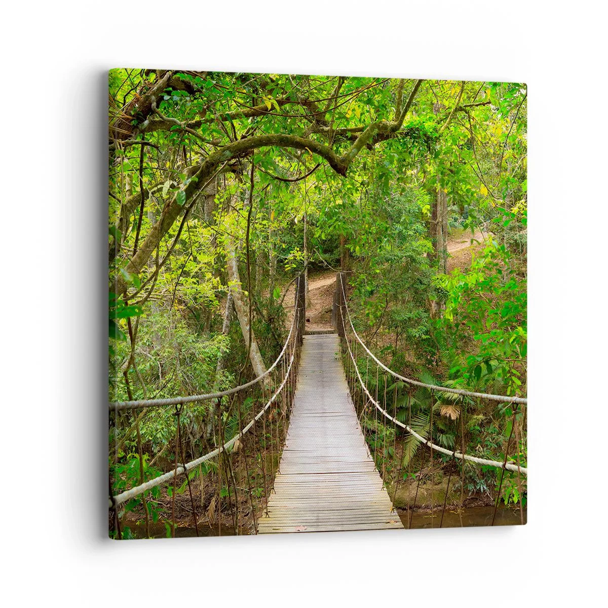 Bild auf Leinwand - Leinwandbild - Denn im Garten gibt es eine Schlingpflanze - 40x40 cm