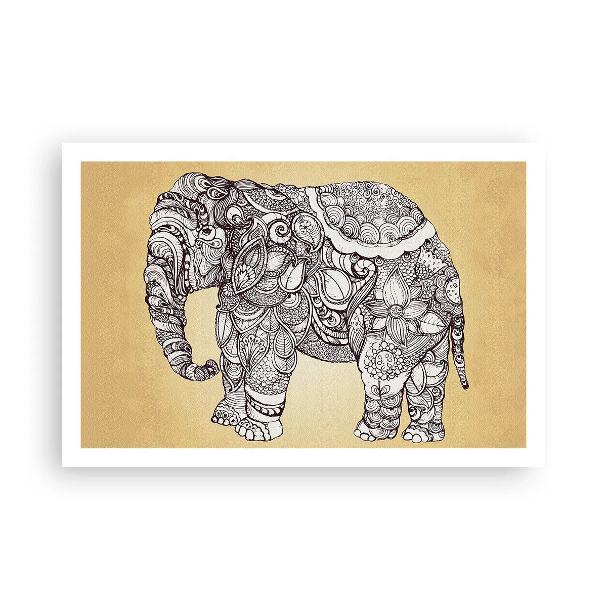 Poster - Elefant verhüllte sich - 91x61 cm
