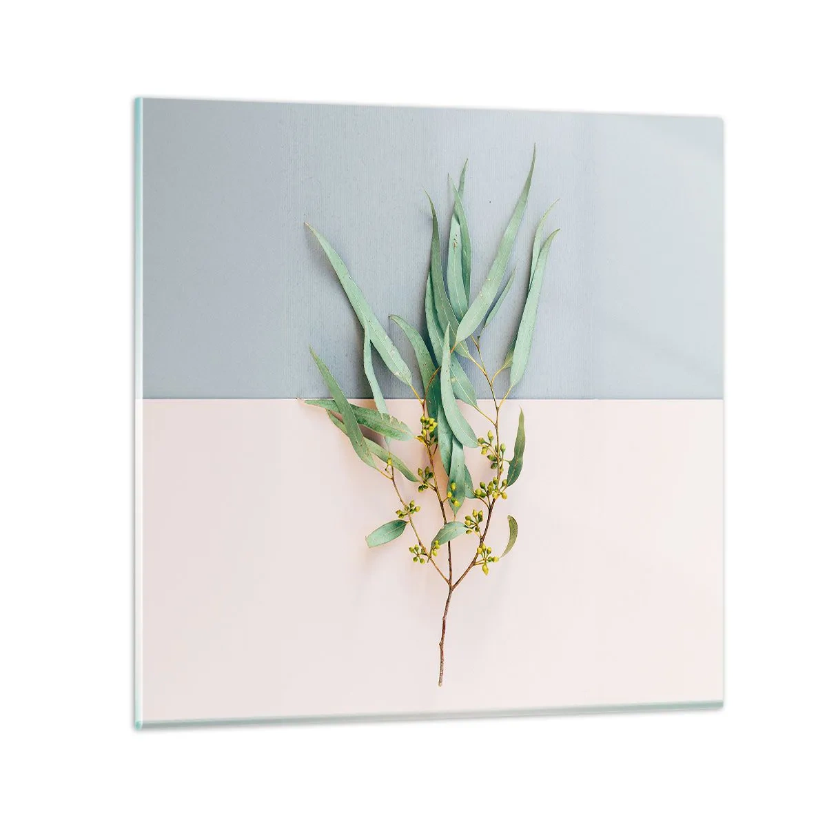Glasbild - Bild auf glas - Pastellige Subtilität - 70x70 cm