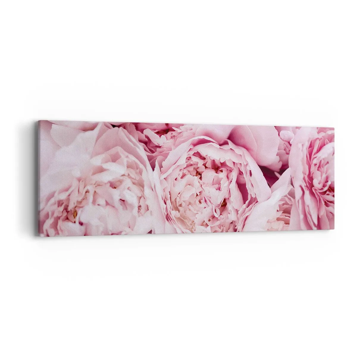 Bild auf Leinwand - Leinwandbild - Anschmiegsam und duftend - 90x30 cm