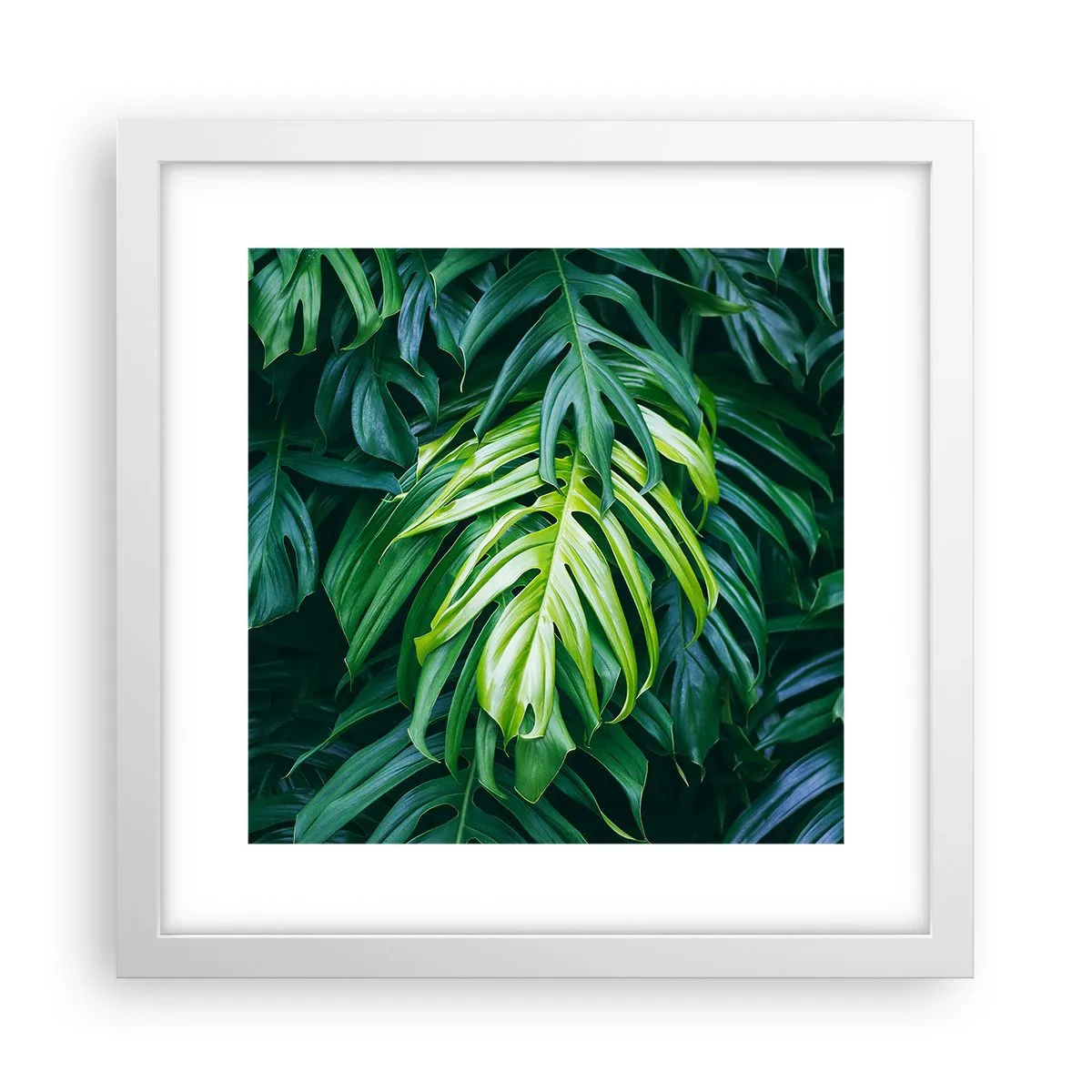 Poster in einem weißen Rahmen - Tauchen Sie ein in die Frische - 30x30 cm