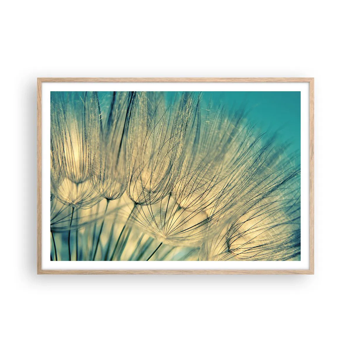 Poster in einem Rahmen aus heller Eiche - In Erwartung des Windes - 100x70 cm