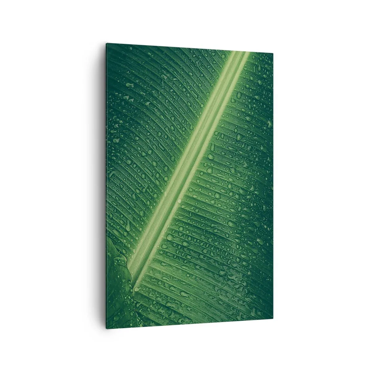Bild auf Leinwand - Leinwandbild - Ein grünes Blatt mit Wassertropfen auf der Oberfläche - 80x120cm - Die Struktur des Grüns - Moderne Wanddekoration für Wohnzimmer und Schlafzimmer ARTTOR