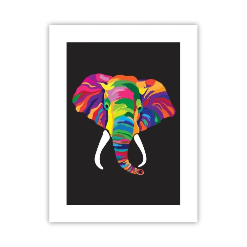 Poster - Der Elefant, der es liebte, im Regenbogen zu baden - 30x40 cm