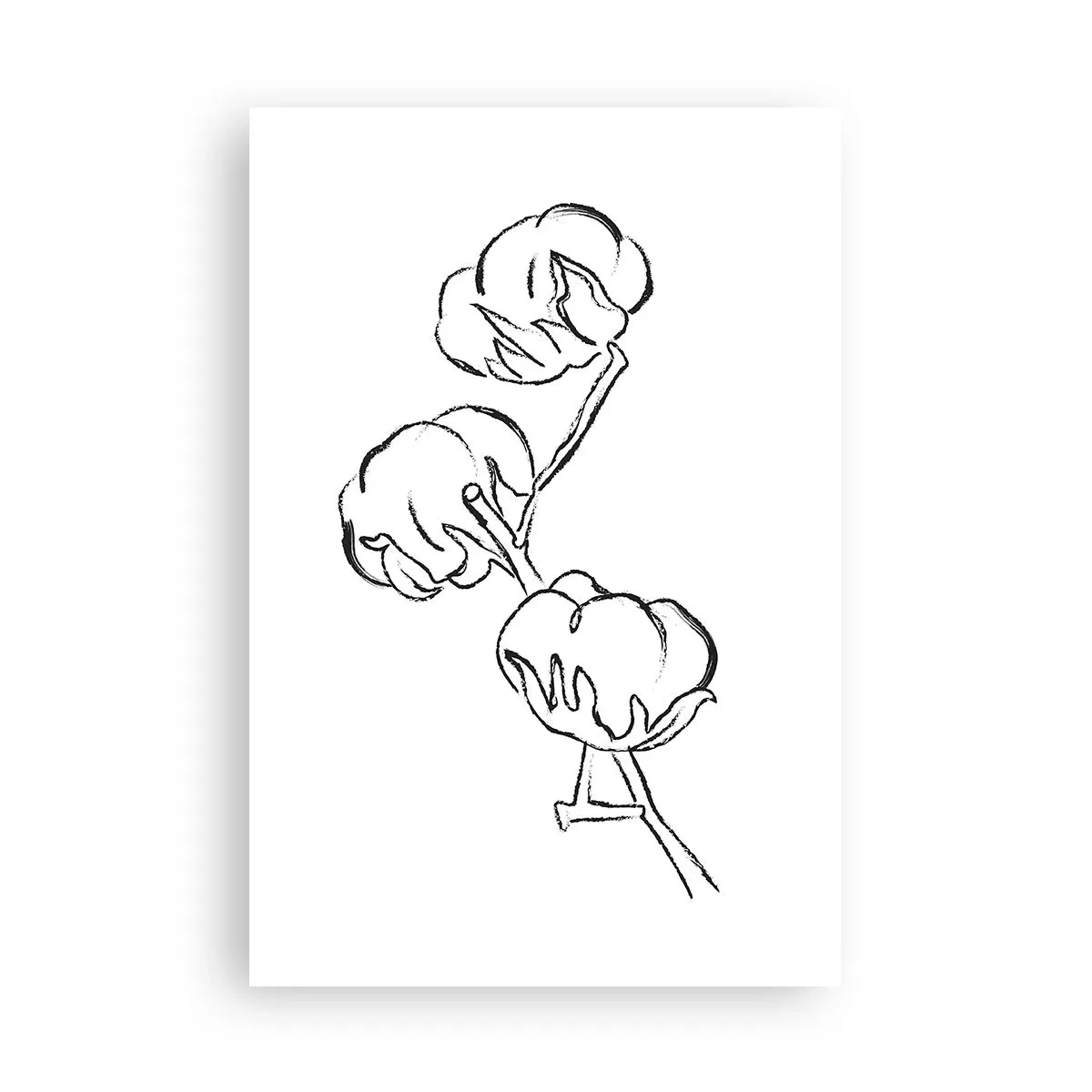 Poster - Baumwolldaunen - 61x91 cm