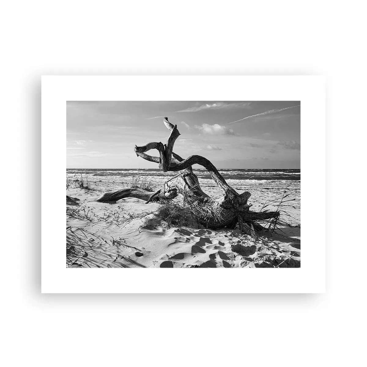 Poster - Meeresskulptur - 40x30 cm