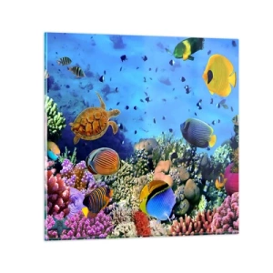 Glasbild - Bild auf glas - Und was wissen wir über das Leben ... - 70x70 cm