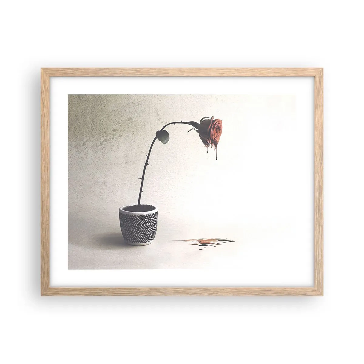 Poster in einem Rahmen aus heller Eiche - Rosa dolorosa - 50x40 cm