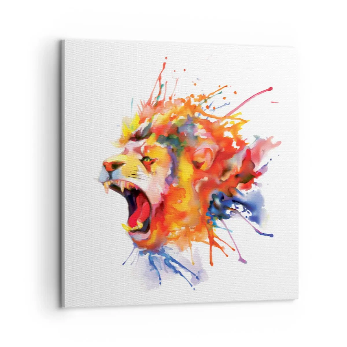 Bild auf Leinwand - Leinwandbild - Um vor Wut zu explodieren - 50x50 cm