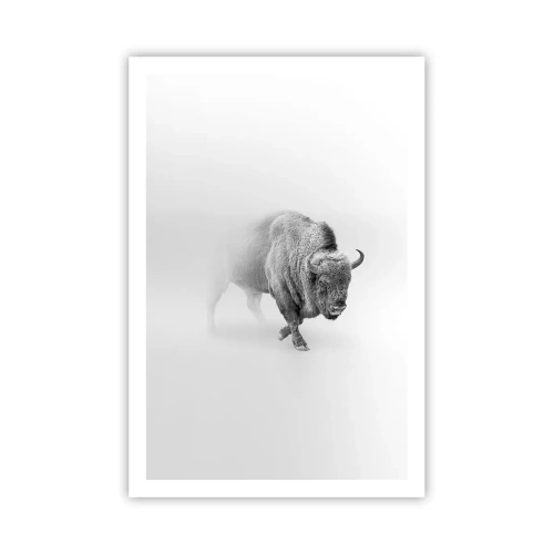 Poster - König der Prärie - 61x91 cm