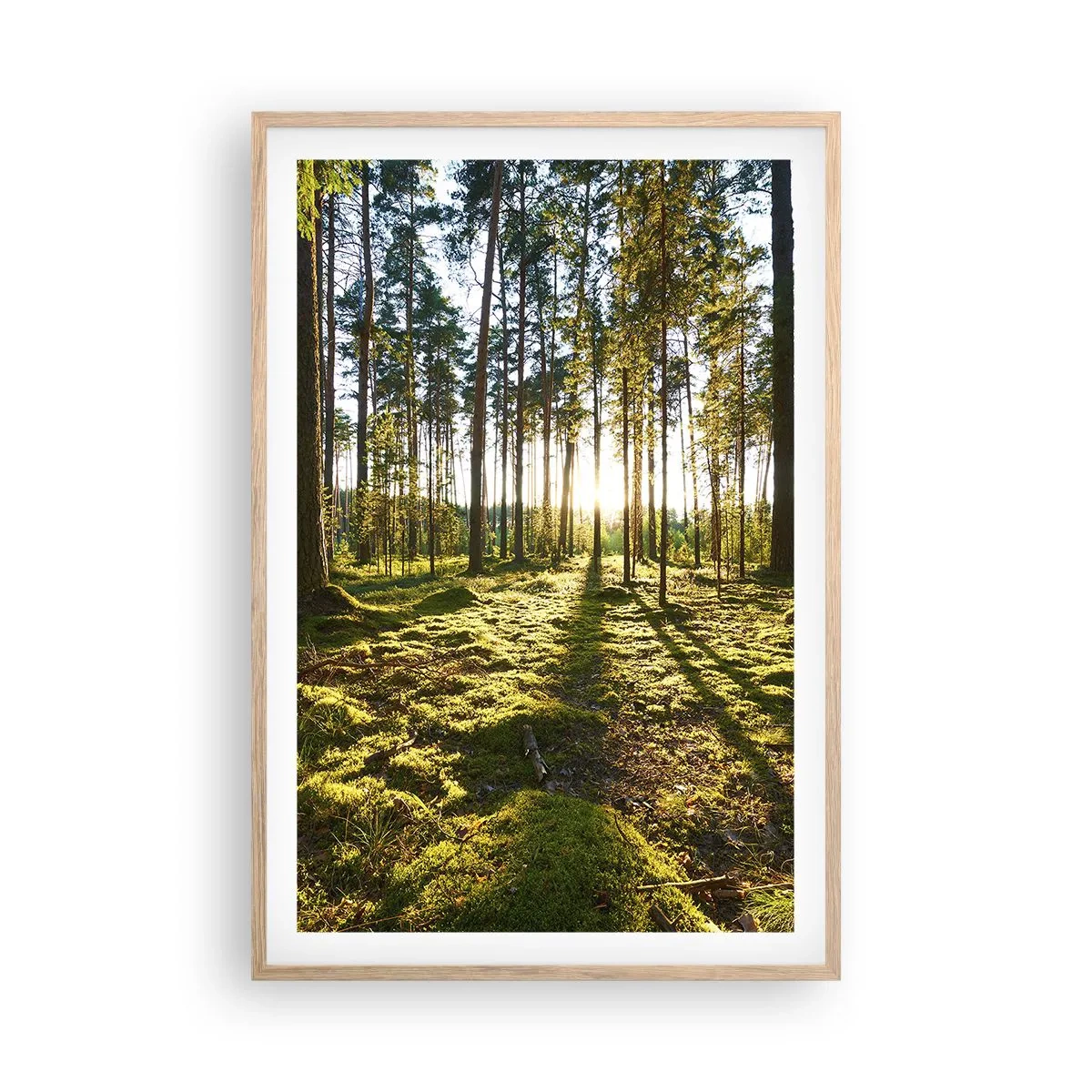 Poster in einem Rahmen aus heller Eiche - … Hinter den sieben Wäldern - 61x91 cm