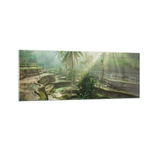 Glasbild - Bild auf glas - Reisterrassen mit Palmen in den Sonnenstrahlen - 140x50cm - In der Sonne aufwachsen - Moderne Wanddekoration für Wohnzimmer und Schlafzimmer ARTTOR