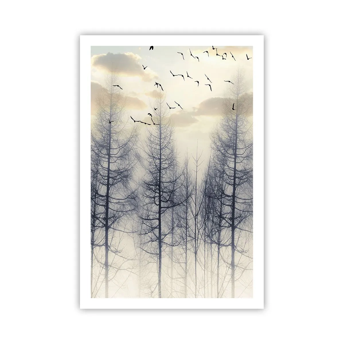 Poster - Waldgeister - 61x91 cm