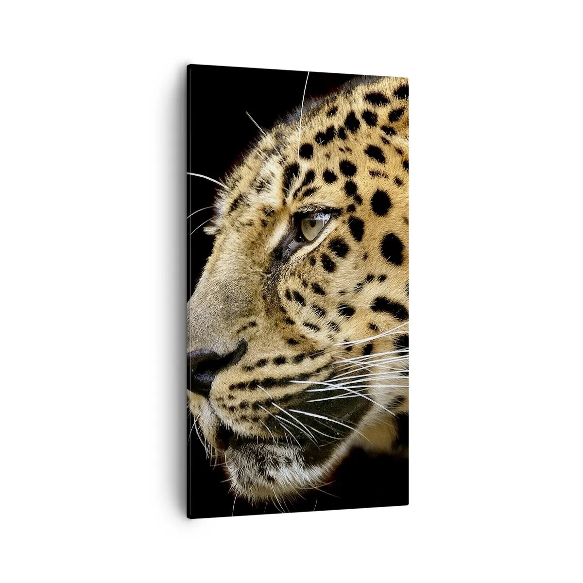 Bild auf Leinwand - Leinwandbild - Ruhig, fokussiert, bereit - 55x100 cm