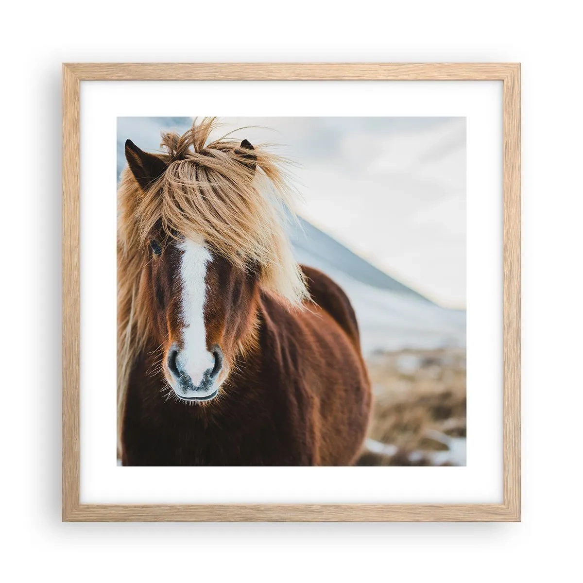 Poster in einem Rahmen aus heller Eiche - Spürst du die Freiheit? - 40x40 cm