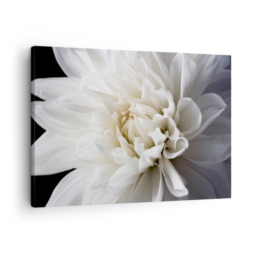 Bild auf Leinwand - Leinwandbild - Eine zarte weiße Blume auf schwarzem Hintergrund in einer eleganten Komposition - 70x50cm - Der Morgen der Braut - Moderne Wanddekoration für Wohnzimmer und Schlafzimmer ARTTOR