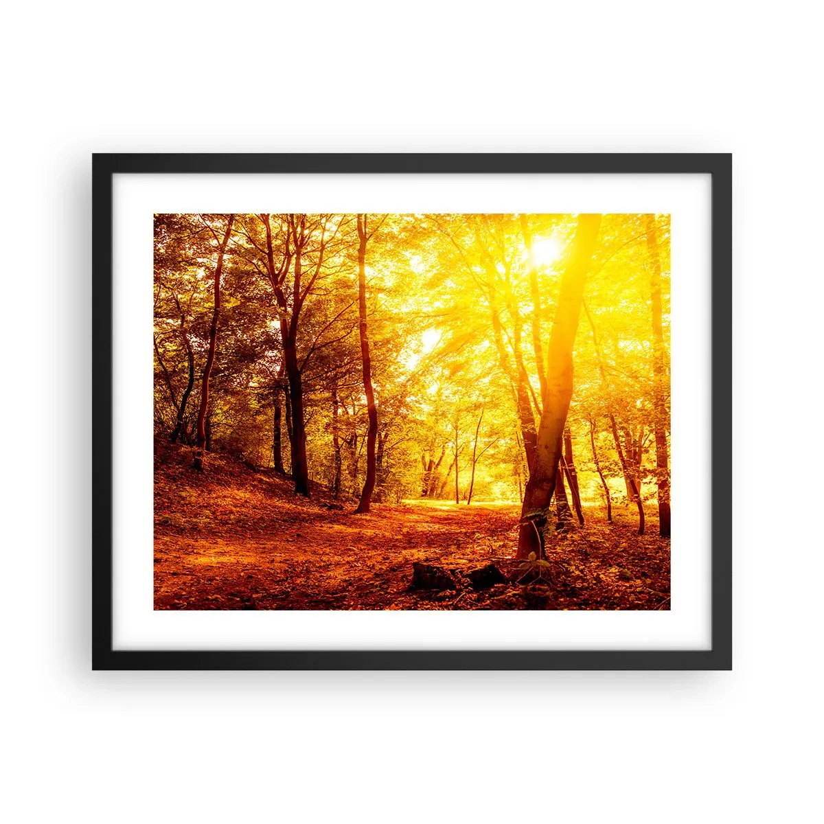 Poster in einem schwarzem Rahmen - Auf die goldene Lichtung - 50x40 cm