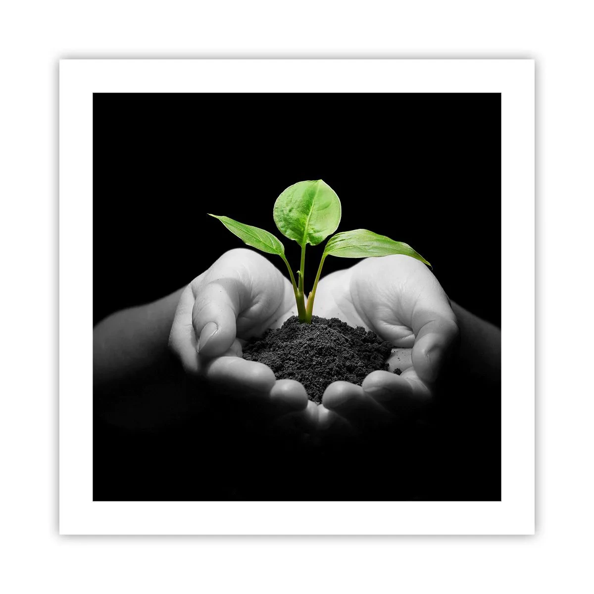 Poster - Ich liebe die Natur, ich beschütze sie - 50x50 cm