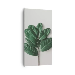 Bild auf Leinwand - Leinwandbild - Eine Zeichnung purer Natur - 65x120 cm