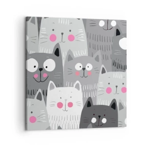 Bild auf Leinwand - Leinwandbild - Katzenwelt - 50x50 cm