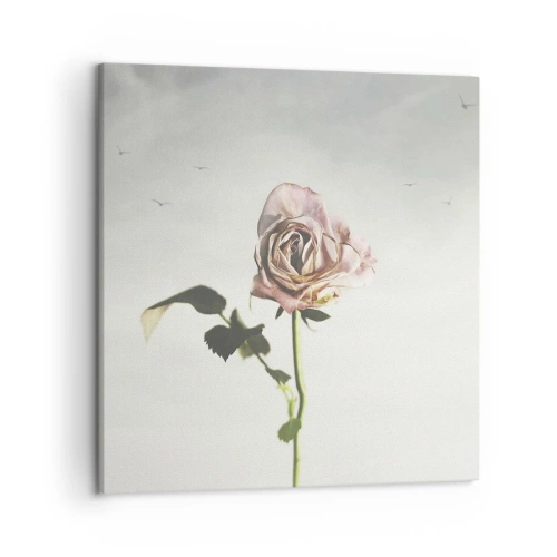 Bild auf Leinwand - Leinwandbild - Begrüßung des Frühlings - 50x50 cm